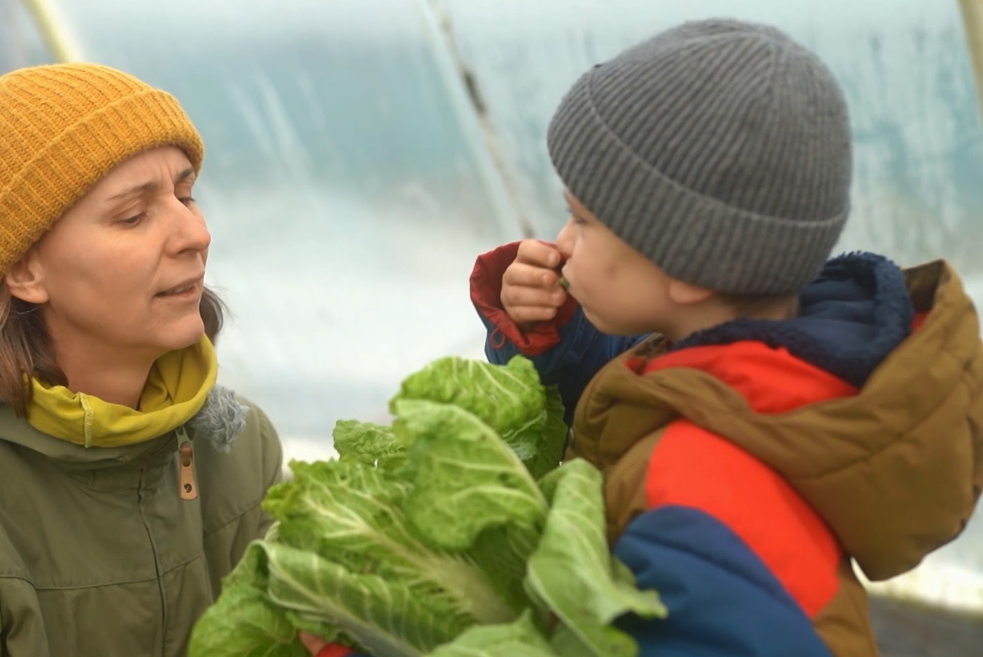 Família-Zbojekovci-STVR