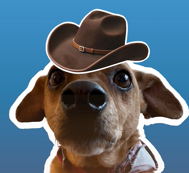 Exkluzívny STVR tipér. Kto podľa neho vyhrá zápas Slovensko- Fínsko?