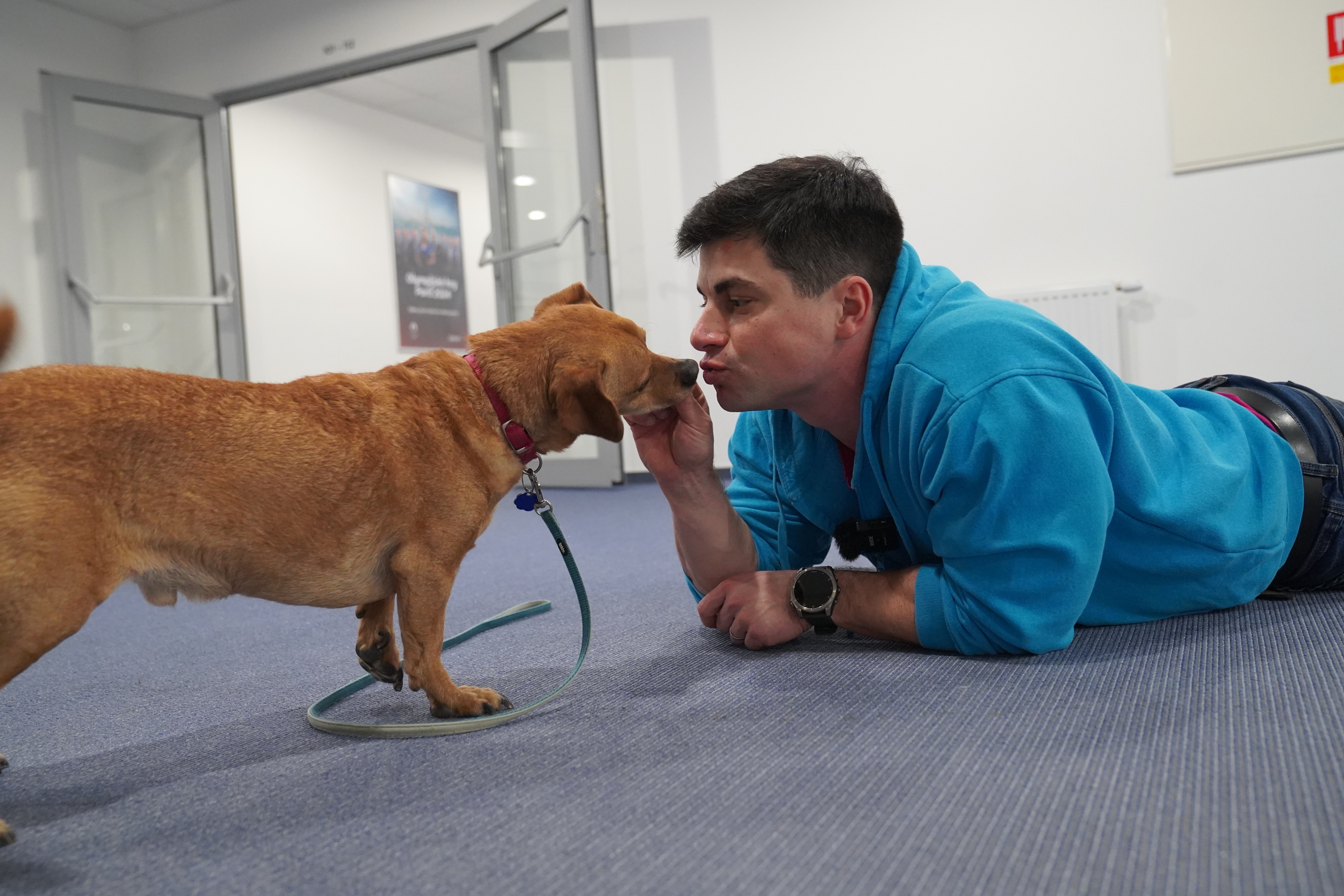 Tri chyby, ktoré robíte, keď si chcete vziať psa. Ľutovať ich môžete roky