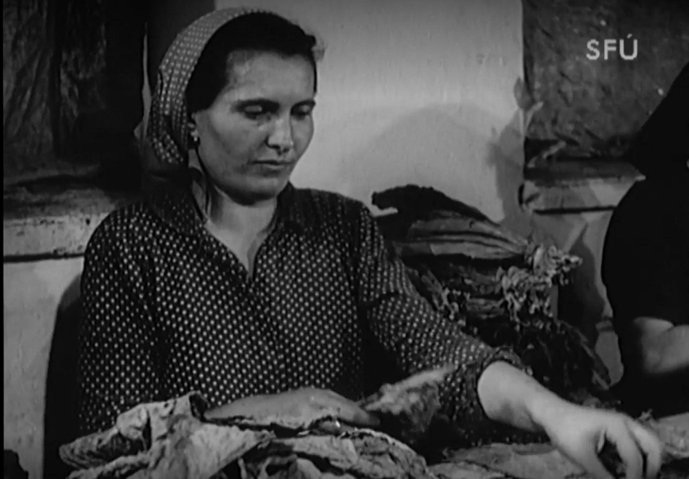 robotníčka-Tabačka-SFÚ