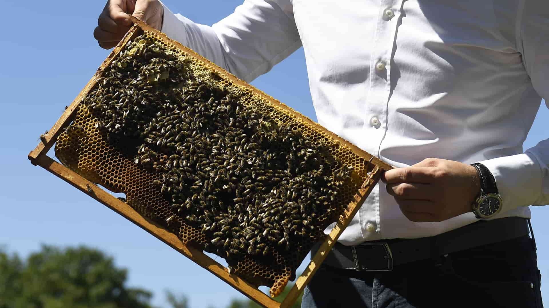 skanzen-plást-František-Iván-TASR