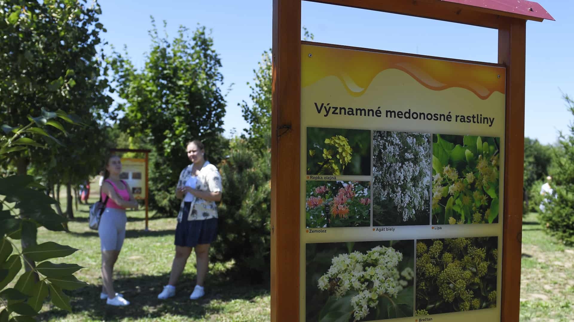 skanzen-rastliny-František-Iván-TASR