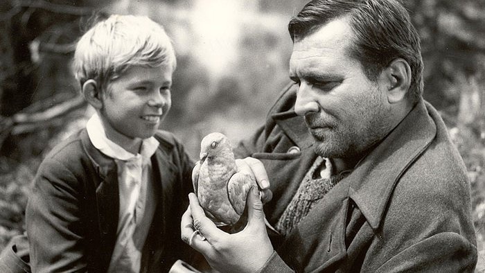 Zabudnutý klenot slovenskej kinematografie. Tento film vás zasiahne