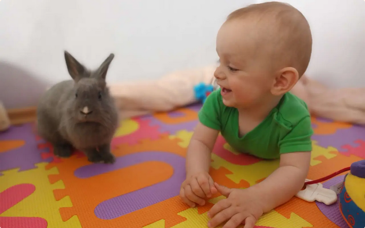 Dvojročný Alexík bojuje s viacerými diagnózami. Mama samoživiteľka prosí o pomoc s terapiami