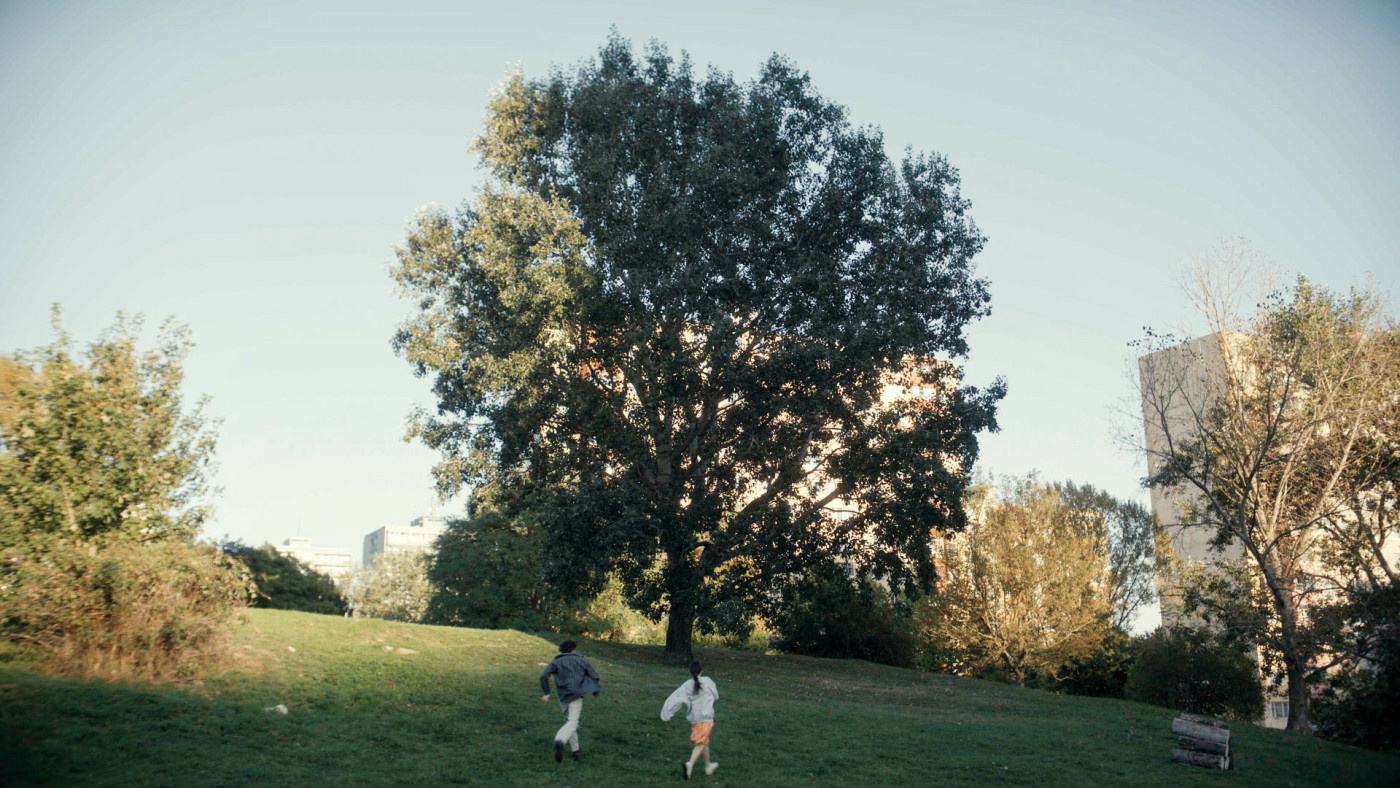 milovnik-nie-bojovnik