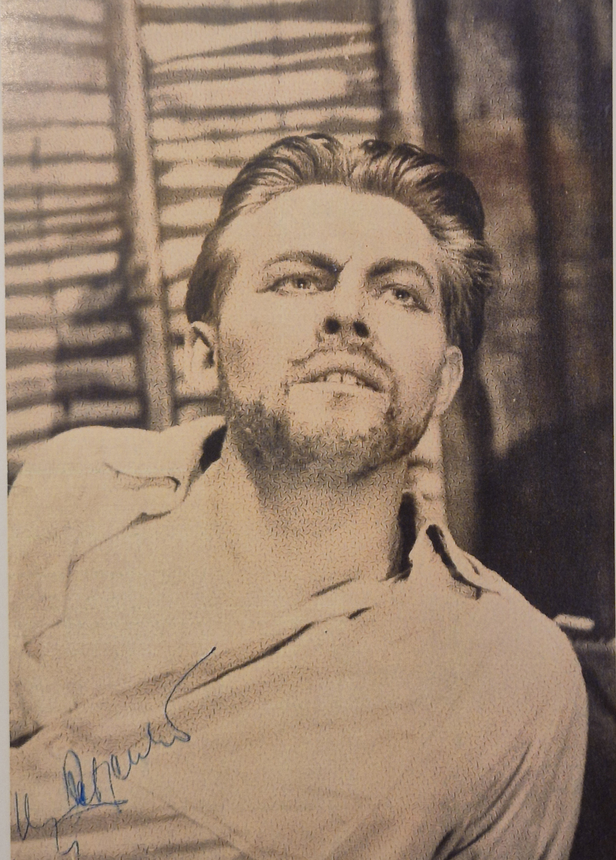 Petrenko herec